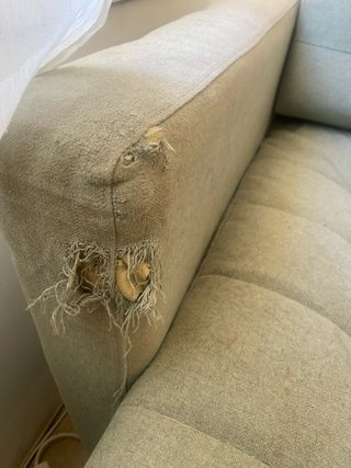 Divano verde in tessuto LANDSKRONA di Ikea (con segni di mordicchiature)