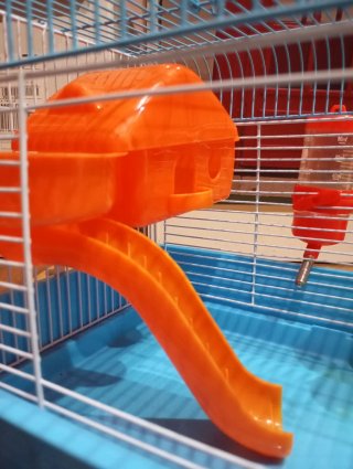 Jaula para hámster con accesorios