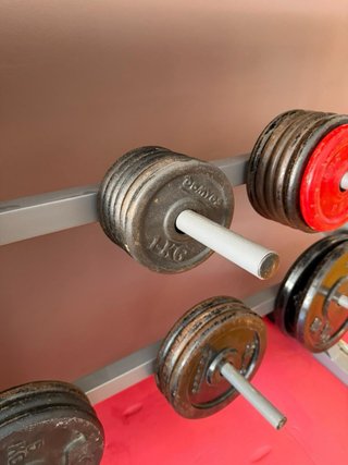 Discos y barras gym