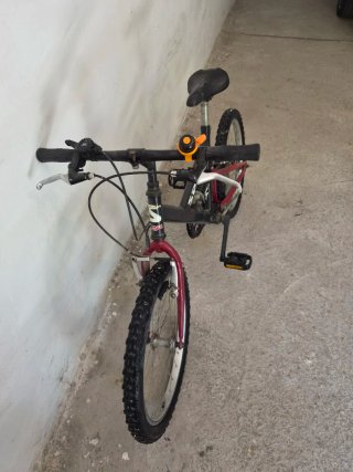 Bicicleta infantil 20 suspensión
