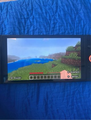 Minecraft per Nintendo Switch