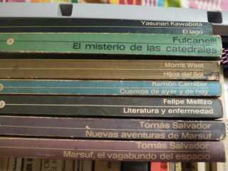 Libros antiguos para decoración