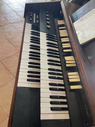 Órgano Electrónico Vintage  Hohner Organet 240 RA