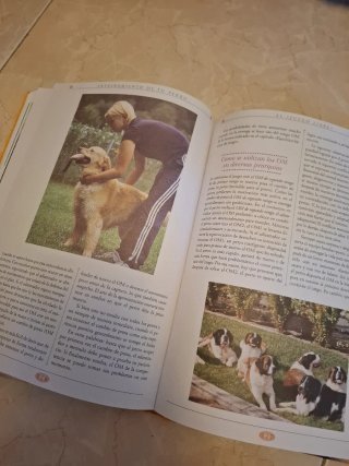 Gran libro del entrenamiento de tu perro