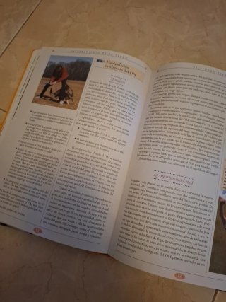 Gran libro del entrenamiento de tu perro