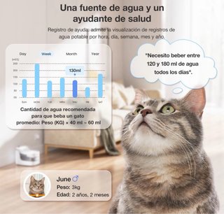 Bebedero Pet Smart Waterfall Petgugu