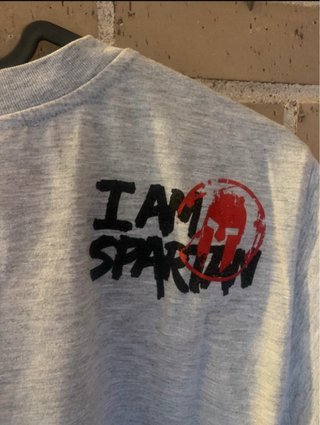Camiseta Spartan Race Reebok Gris