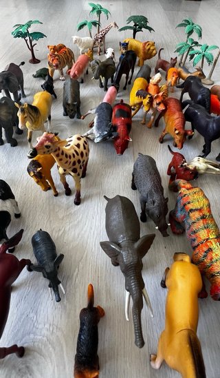 100 animales de la selva, rocas y árboles