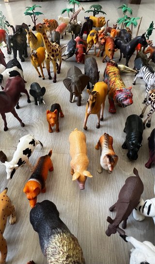 100 animales de la selva, rocas y árboles