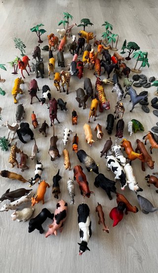 100 animales de la selva, rocas y árboles