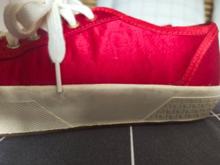 Zapatillas Carolina Herrera Satén Talla 37