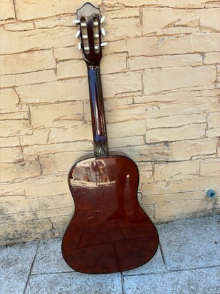 Guitarra Rocío C16 con púa