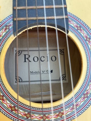 Guitarra Rocío C16 con púa