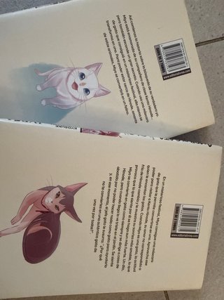 Amor de Gata 01