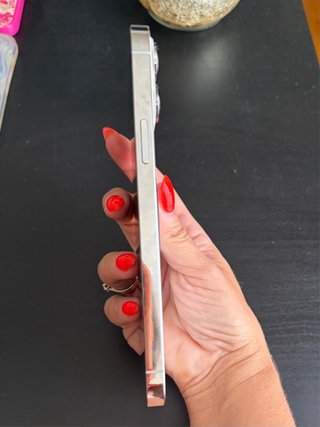 iPhone 13 Pro Max argento 1TB