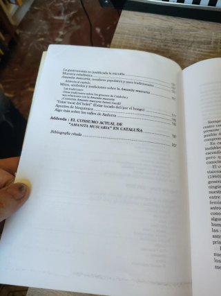 El Hongo Y  La génesis De Las Culturas Duendes Y..