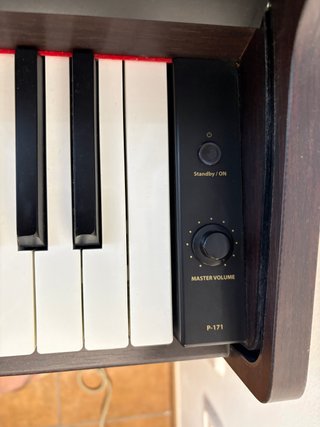 Piano Digital Pianova P-171 - Semi Nuevo