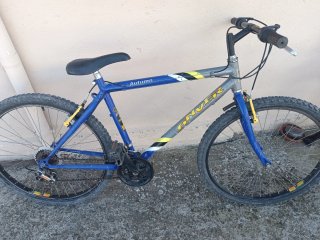 Bicicleta de Montaña Autumn