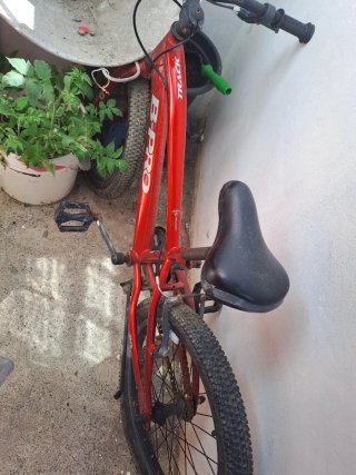 Regalo Bicicleta