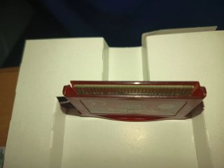 Pokémon Edición Rubí Game Boy Advance
