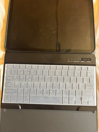 iPad mini 4 Space Gray como nuevo