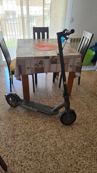 Patinete Eléctrico Xiaomi Pro 2