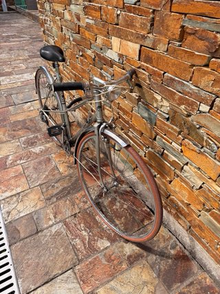 Bicicleta BH Gacela Clásica
