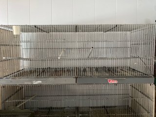 4 Jaulas de cría metro Pedros, 25 eu cada una
