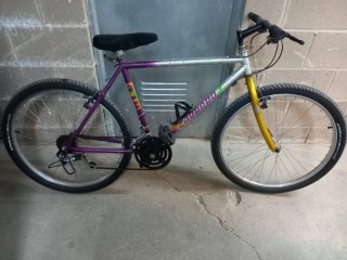 Bicicleta de montaña