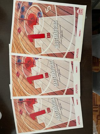 Libros matemáticas 1 de la eso. Buen estado.