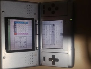 Nintendo DS