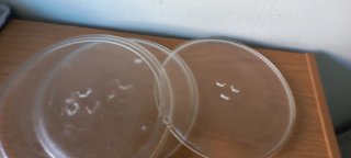 Base giratoria de cristal para microondas