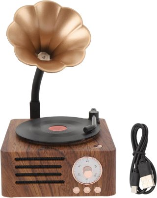 Altoparlante Bluetooth in Vinile Vintage