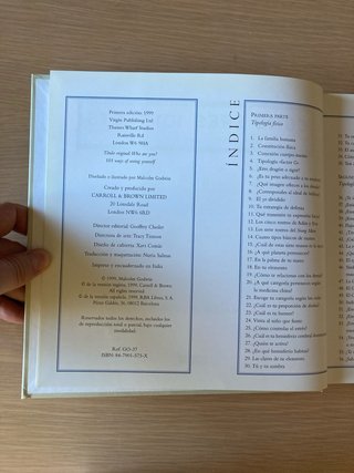 Cómo eres 101 Tests