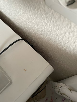 Habitación completa: Cama, mesitas, lámpara.