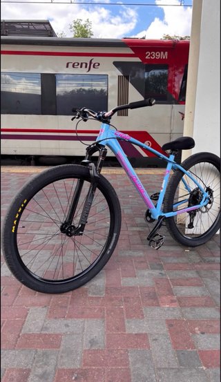 Bici Collective C100