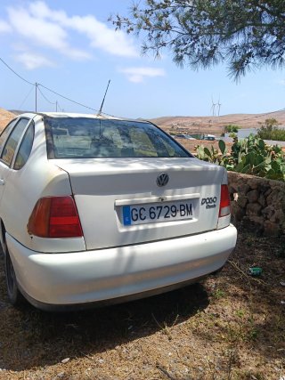 polo clasic  1