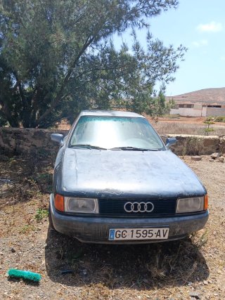 polo clasic  1