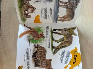 Mi primera enciclopedia de los animales
