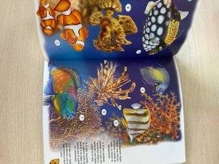Mi primera enciclopedia de los animales