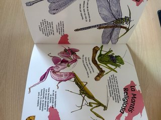 Mi primera enciclopedia de los animales