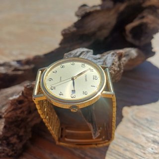 Reloj Pulsar Dorado con Correa Metálica