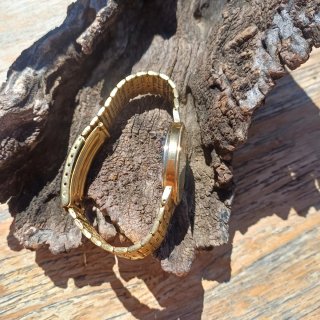 Reloj Pulsar Dorado con Correa Metálica