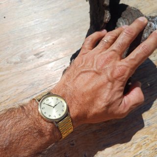 Reloj Pulsar Dorado con Correa Metálica