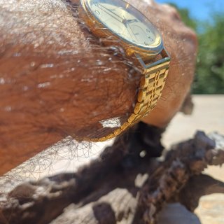 Reloj Pulsar Dorado con Correa Metálica