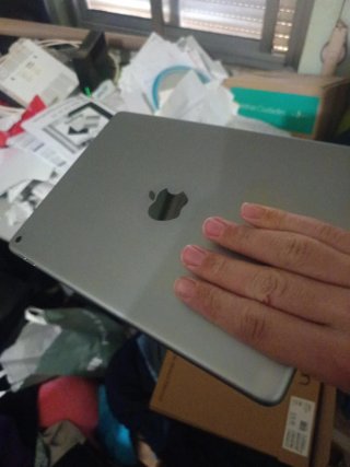 Apple iPad Plateado Oscuro