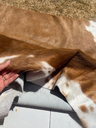 Alfombra de cuero al pelo marrón y blanco