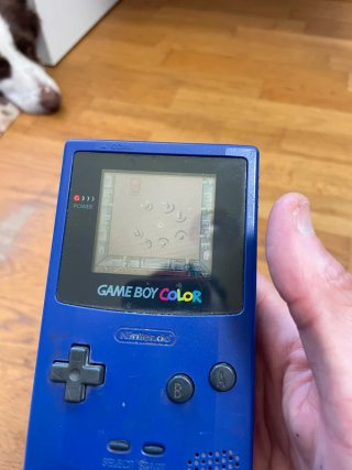 Cartuccia regalo Game Boy Color Nintendo