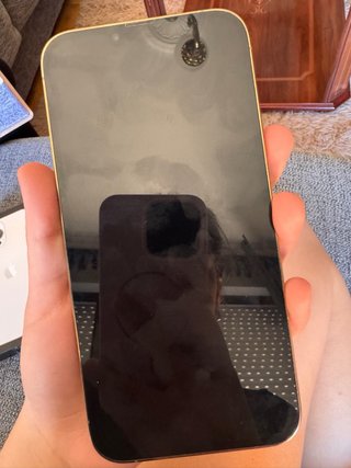 iPhone 13 Pro Max Oro