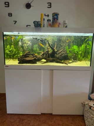 Acuario Eheim 240